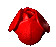 rosa si apre.gif
